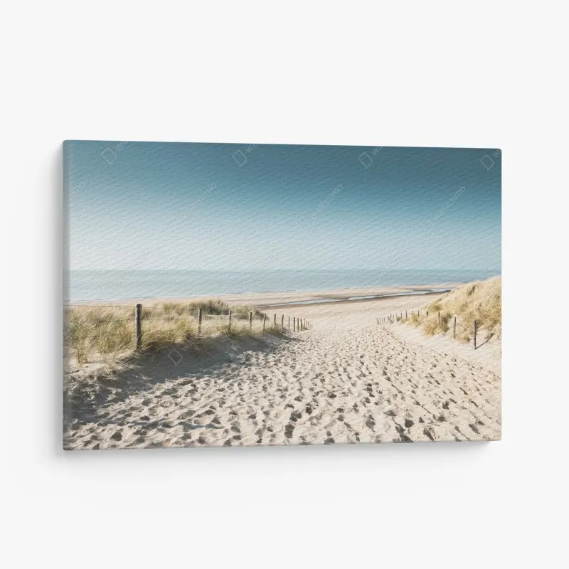 Canvas print sandy dunes at Noordwijk coast