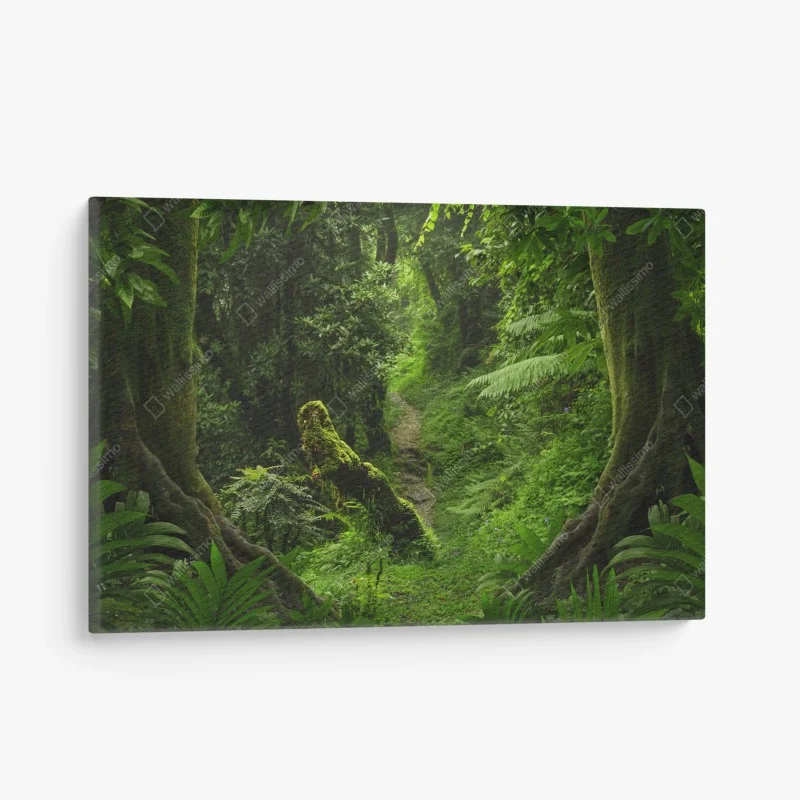 Canvas print • Wallissimo®