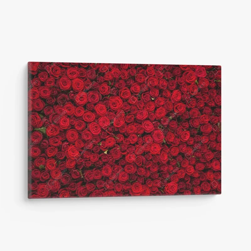 Canvas print endless wall of red roses