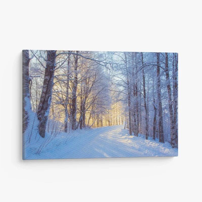 Canvas print winter birch forest pathway at sunrise