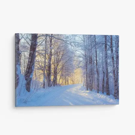 Canvas print winter birch forest pathway at sunrise • Wallissimo®