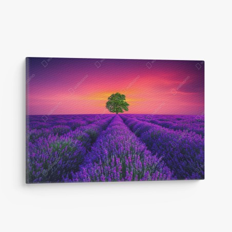 Canvas print lavender sunset with lone tree • Wallissimo®
