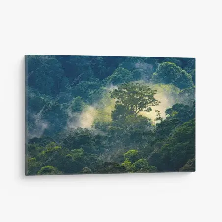 Canvas print misty rainforest canopy • Wallissimo®