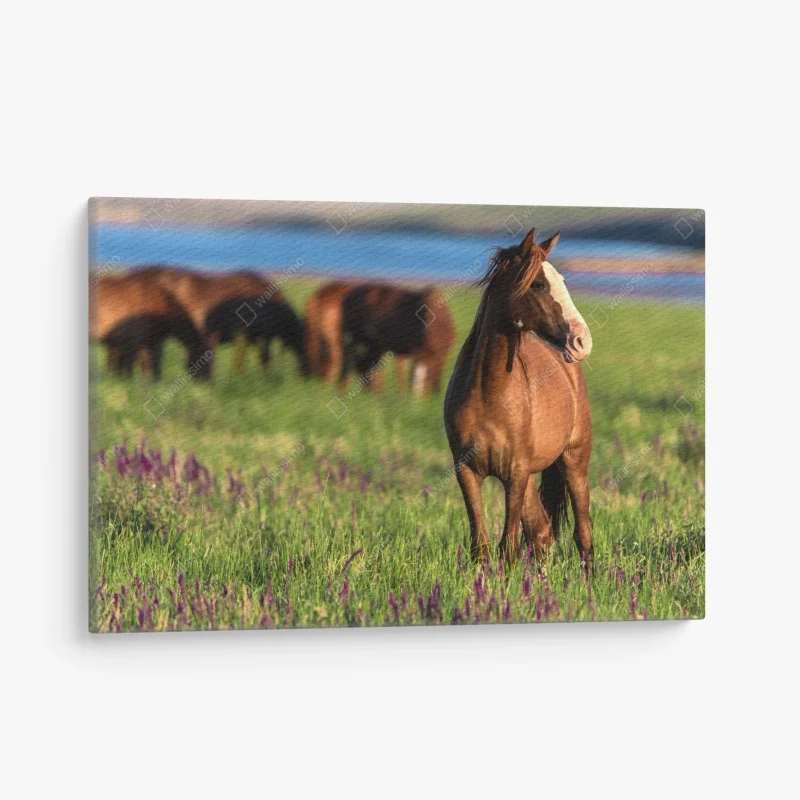 Canvas print majestic brown horse in a sunlit meadow