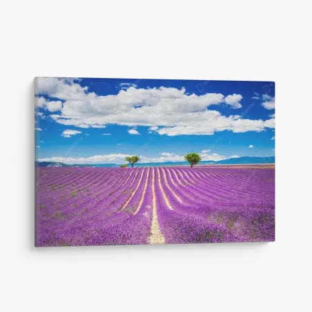Canvas print lavender fields in Provence • Wallissimo®