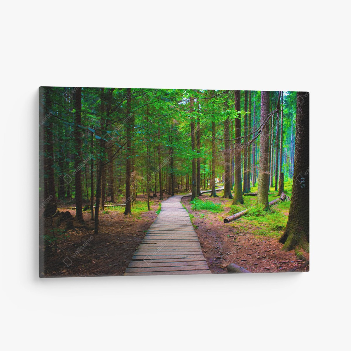 Canvas print serene forest boardwalk path • Wallissimo®
