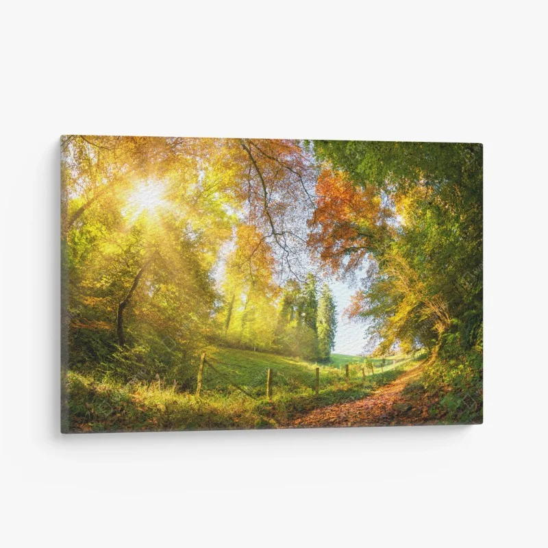 Canvas print golden autumn forest path