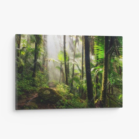 Canvas print tropical rainforest with sunbeams • Wallissimo®