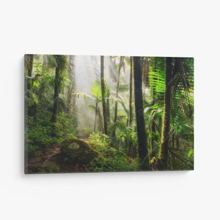 Canvas print tropical rainforest with sunbeams • Wallissimo®