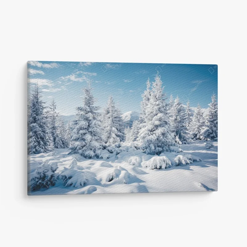 Canvas print winter calm in the Carpathian spruces