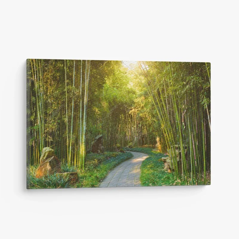 Canvas print serene bamboo forest pathway
