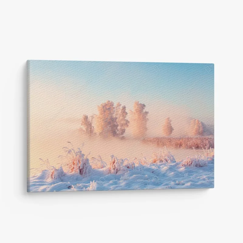 Canvas print winter sunrise over frosty meadow