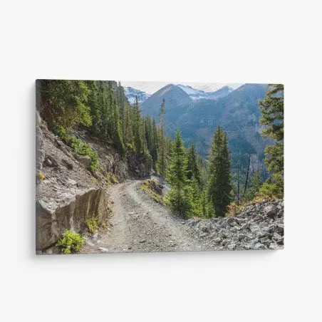 Canvas print mountain trail through alpine forest • Wallissimo®