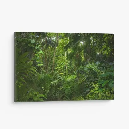 Canvas print lush tropical jungle canopy • Wallissimo®
