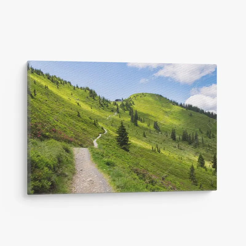 Canvas print sunlit mountain trail through green meadow