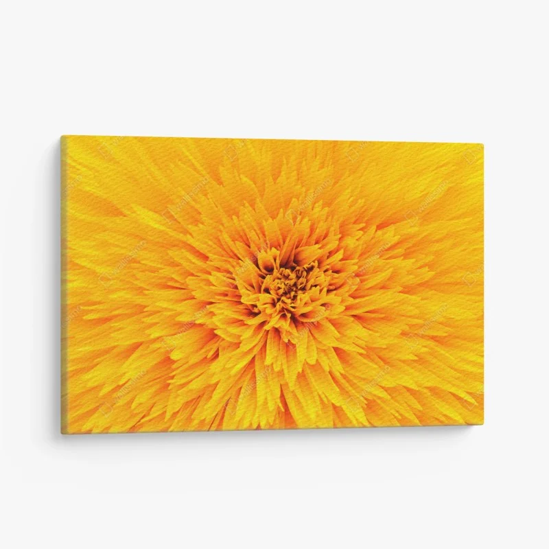Canvas print radiant sunflower close-up