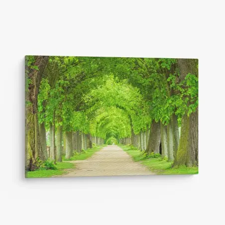Canvas print green tree tunnel walkway • Wallissimo®