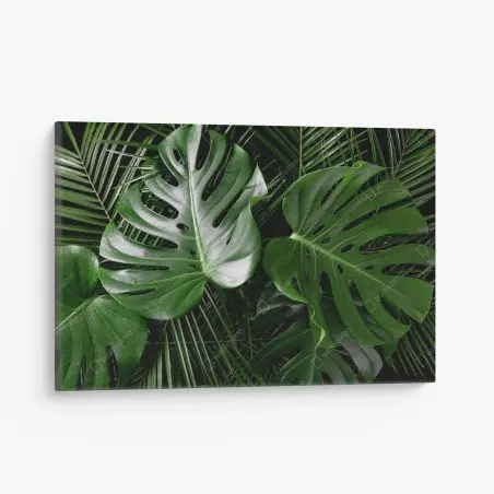 Canvas print lush monstera leaves composition • Wallissimo®