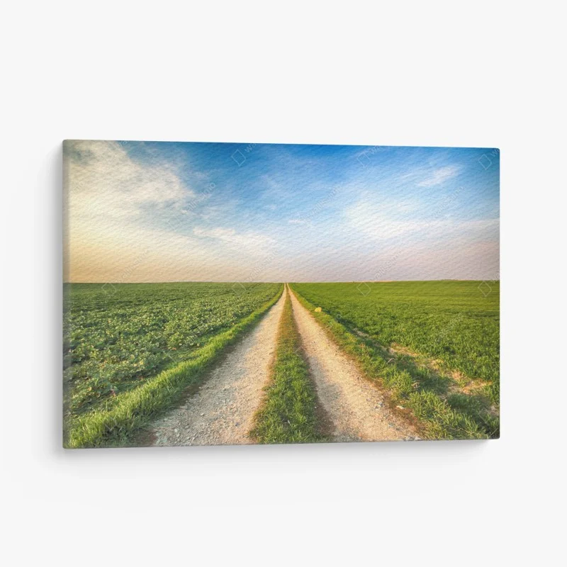 Canvas print country road through green fields