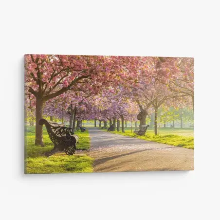 Canvas print cherry blossom avenue in spring • Wallissimo®