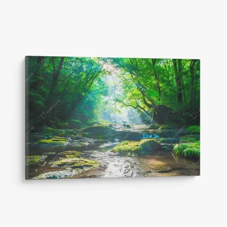 Canvas print sunlit forest stream with mossy rocks • Wallissimo®