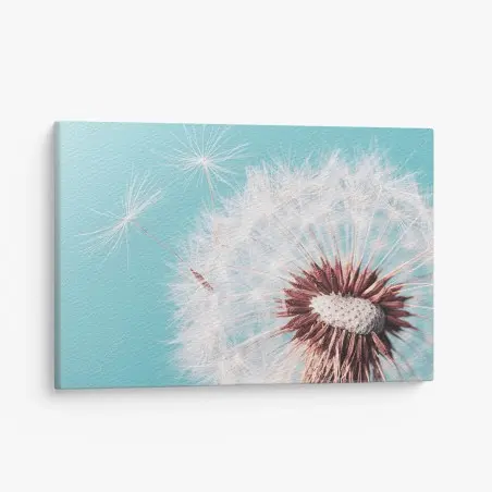 Canvas print delicate dandelion on turquoise background • Wallissimo®