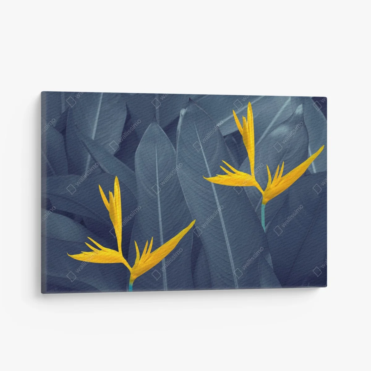 Canvas print yellow bird of paradise on blue leaves ⁕ Wallissimo® Canvas print yellow bird of paradise on blue leaves ⁕ Wallissimo®