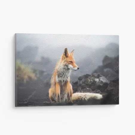 Canvas print red fox in a misty landscape • Wallissimo®