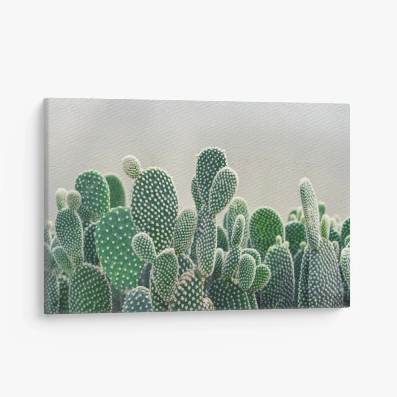 Canvas print • Wallissimo®