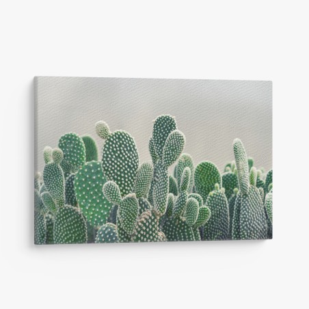 Canvas print opuntia cactus close-up • Wallissimo®