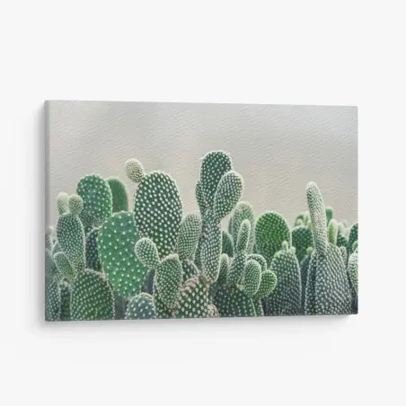 Canvas print opuntia cactus close-up • Wallissimo®
