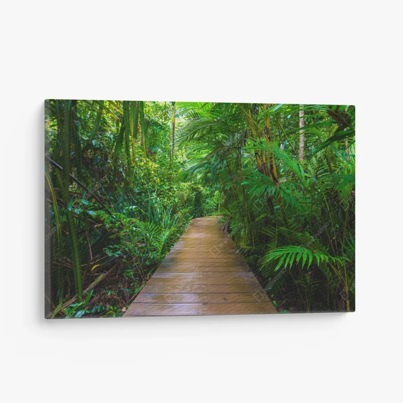 Canvas print mangrove boardwalk through lush green jungle
