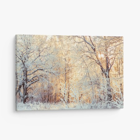 Canvas print winter sunlight in snowy forest • Wallissimo®