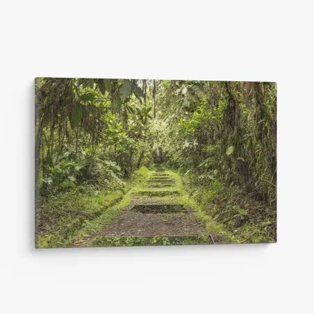 Canvas print lush jungle pathway through verdant rainforest • Wallissimo®