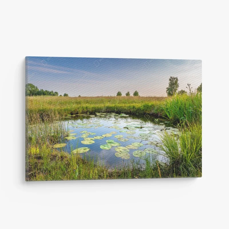 Canvas print tranquil lily pond in grassy meadow