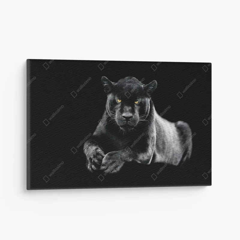 Canvas print black panther portrait on dark background