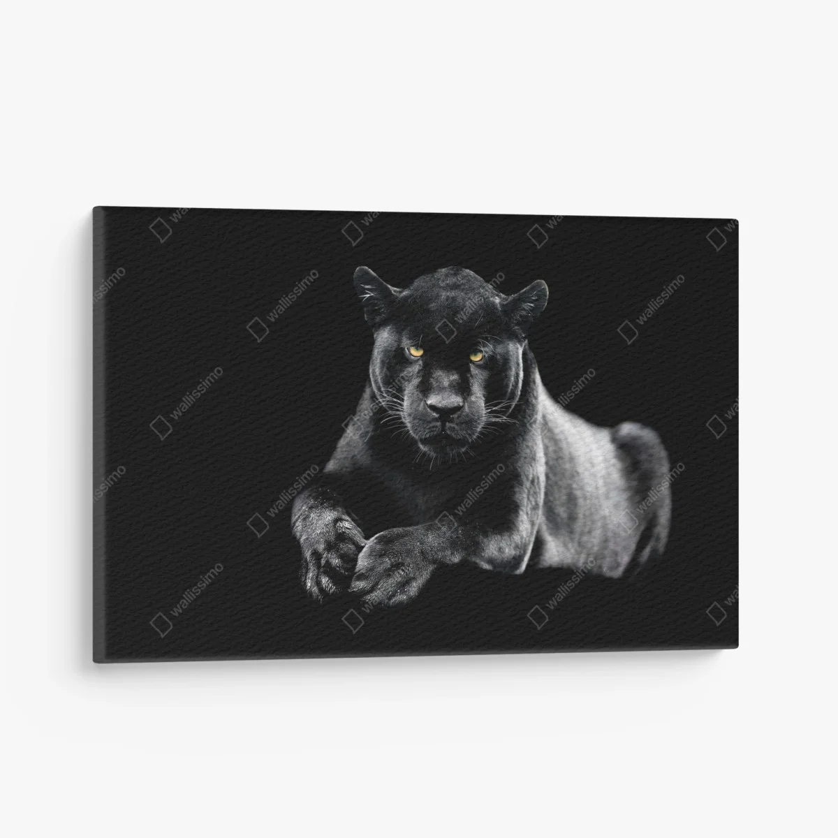 Canvas print black panther portrait on dark background ⁕ Wallissimo® Canvas print black panther portrait on dark background ⁕ Wallissimo®