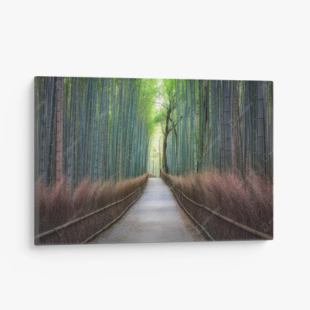 Canvas print serene bamboo forest pathway • Wallissimo®