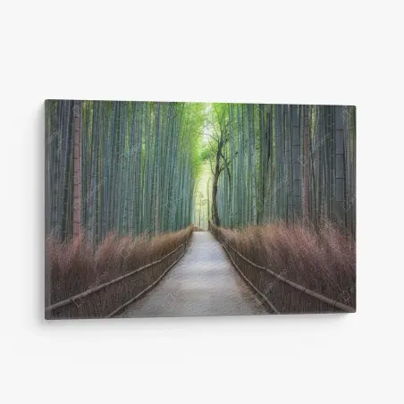 Canvas print serene bamboo forest pathway • Wallissimo®