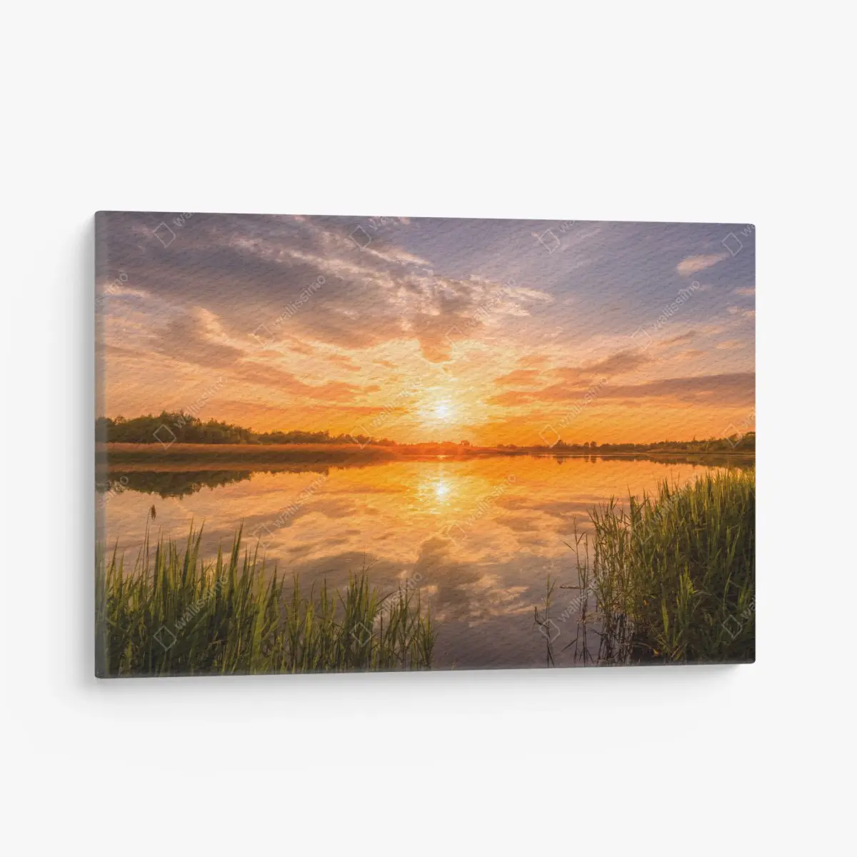 Canvas print golden sunset over tranquil lake • Wallissimo®