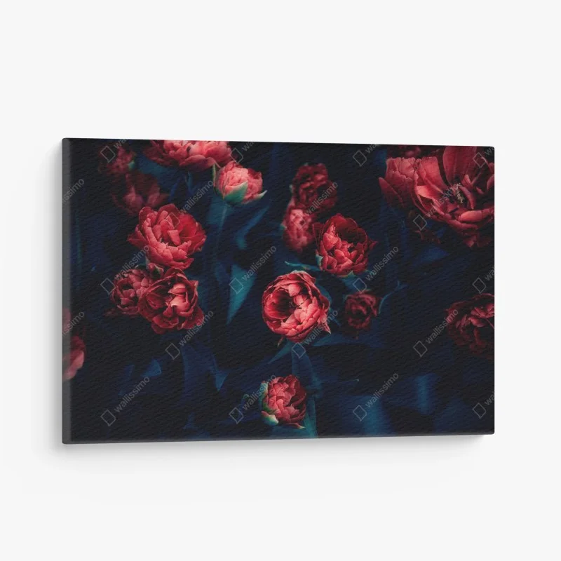 Canvas print moody red tulip bouquet