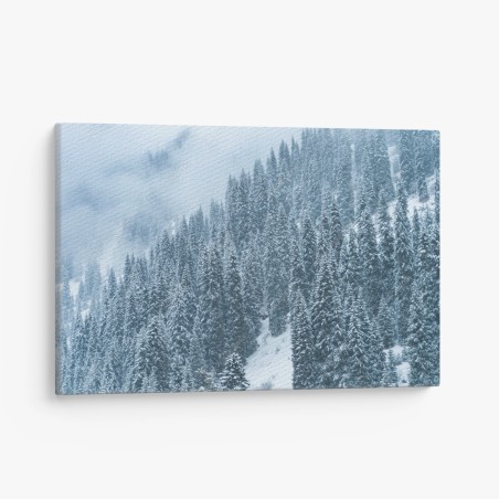 Canvas print misty snow-covered pine forest • Wallissimo®
