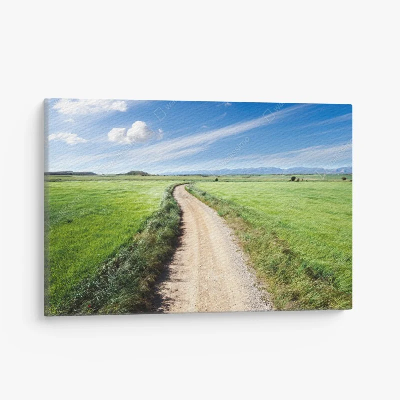 Canvas print winding country road through green meadows