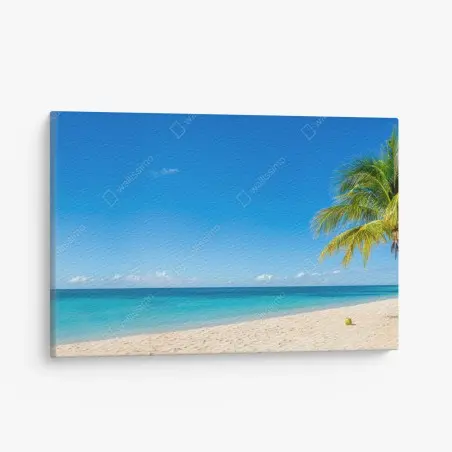 Canvas print tropical turquoise beach with palm tree • Wallissimo®