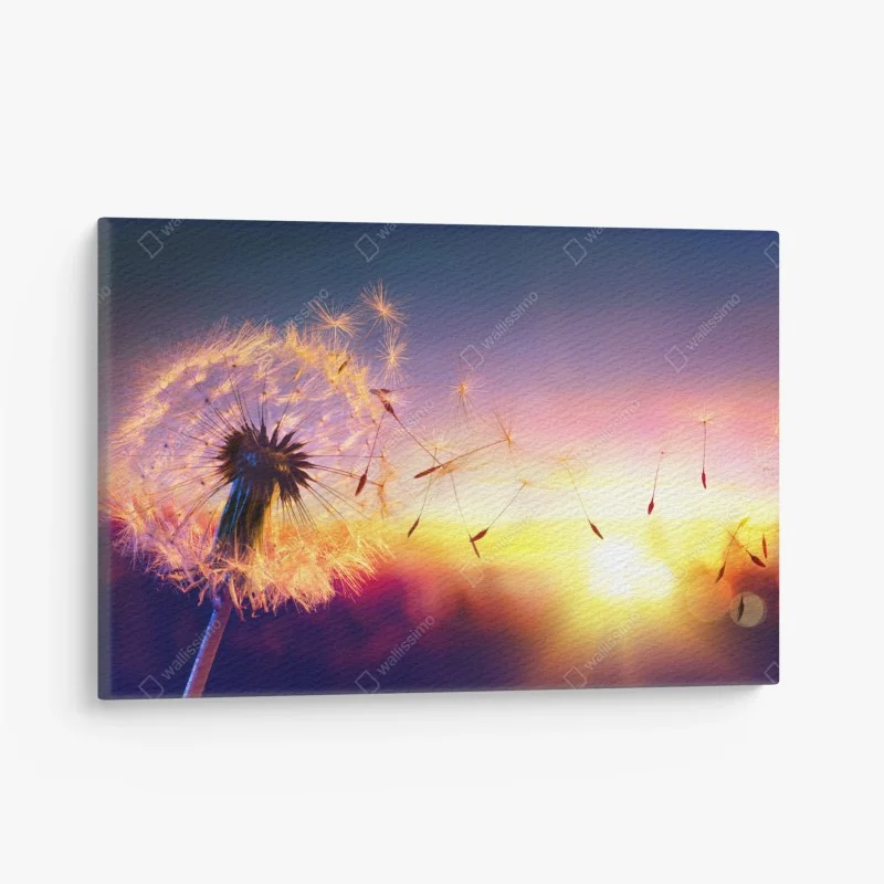 Canvas print golden dandelion at sunset