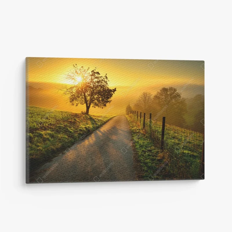 Canvas print sunlit countryside path at sunrise