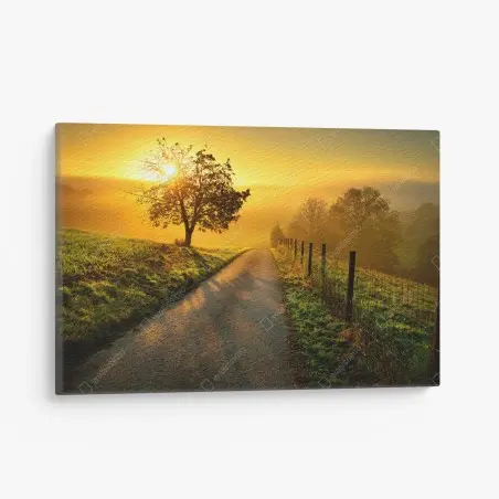 Canvas print sunlit countryside path at sunrise • Wallissimo®