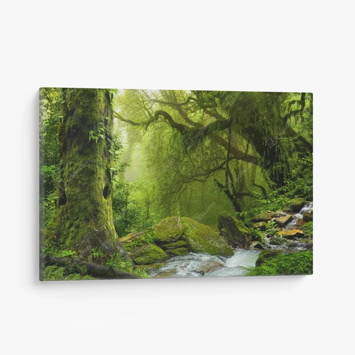 Canvas print enchanted green forest stream ⁕ Wallissimo® Canvas print enchanted green forest stream ⁕ Wallissimo®