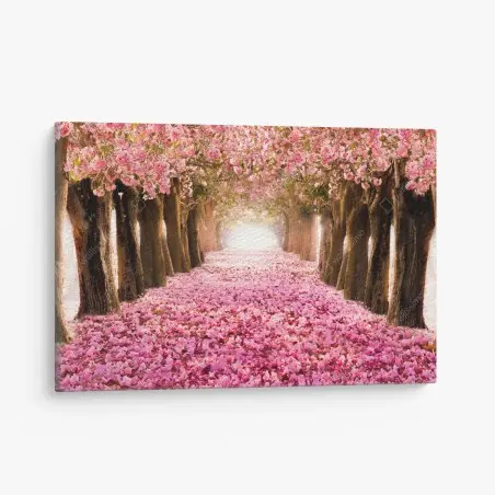 Canvas print pink blossom pathway under cherry trees • Wallissimo®