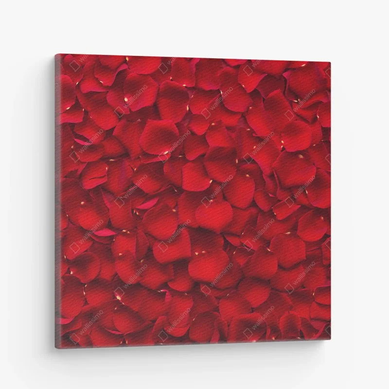 Canvas print red rose petal background